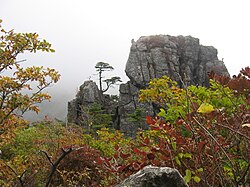 지리산 대표 이미지